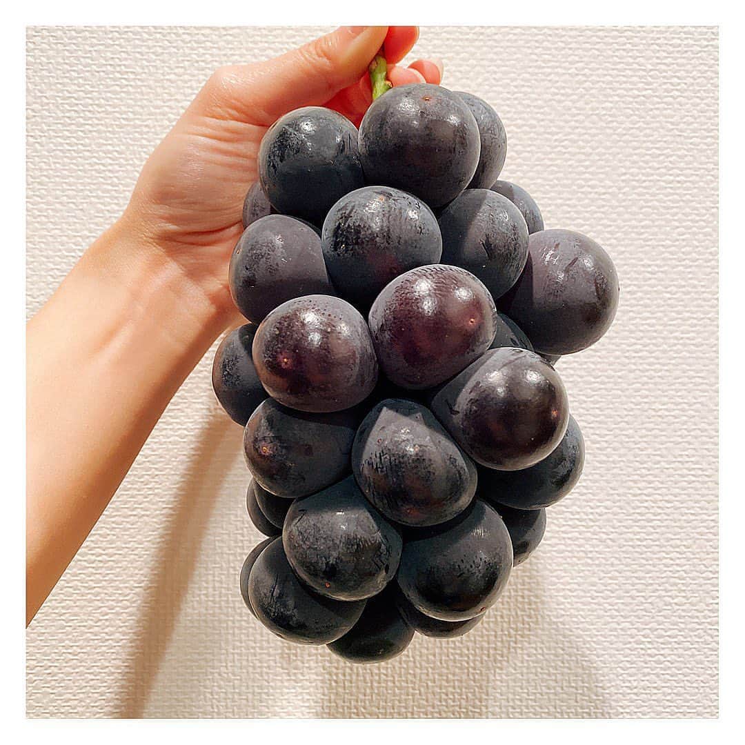 森杏奈さんのインスタグラム写真 - (森杏奈Instagram)「ㅤㅤㅤㅤㅤㅤㅤㅤㅤㅤㅤㅤㅤ ㅤㅤㅤㅤㅤㅤㅤㅤㅤㅤㅤㅤㅤ 片手で持つのが重かったぶどう🍇 ㅤㅤㅤㅤㅤㅤㅤㅤㅤㅤㅤㅤㅤ 弟がぶどう昔から大好きで、よく 「ぶろう、ぶろう！」って言ってたのを思い出した☺️ ㅤㅤㅤㅤㅤㅤㅤㅤㅤㅤㅤㅤㅤ ぶろう🍇も弟👶🏻もこんなに大きくなったよ(は？) ㅤㅤㅤㅤㅤㅤㅤㅤㅤㅤㅤㅤㅤ #grape #ぶどう #葡萄 ㅤㅤㅤㅤㅤㅤㅤㅤㅤㅤㅤㅤㅤ」9月26日 19時06分 - _morianna