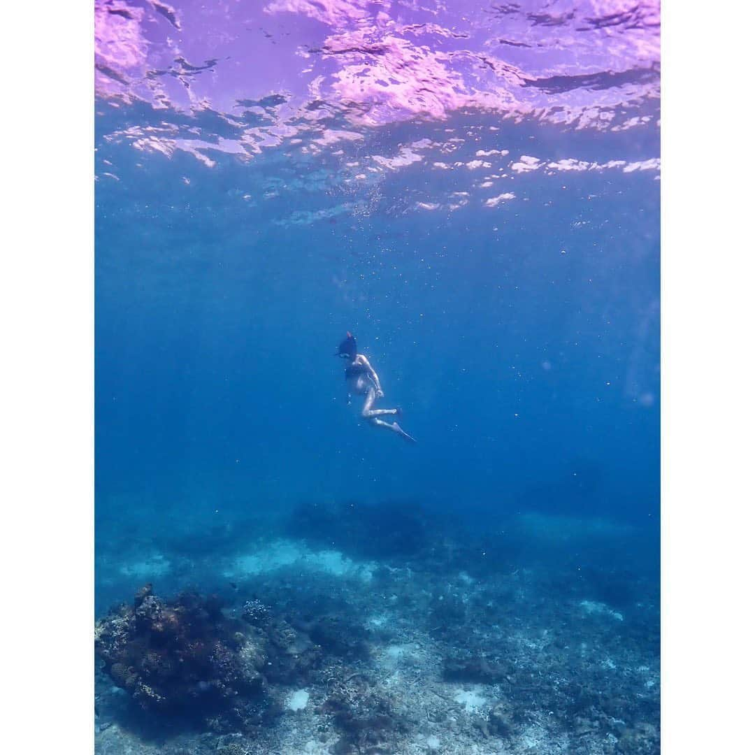 神子島みかさんのインスタグラム写真 - (神子島みかInstagram)「. #マタニティフォト 🧜🏽‍♀️💕 気分は人魚ですが見た目マナティ🐖 . . お魚たくさん 我が子もニモ見れて大喜び💓 お腹のベビーも ぷかぷか気持ち良かったのかお腹ぷにぷににw 海女さんは安産らしく私もこれで安産だといいなぁ💓 . . 【注意】 直前に病院でシュノーケリングをする事など しっかり相談し"問題ない"との事で行ってます。 以前からシュノーケリング素潜りの経験があります。 現地のダイビングショップの方が同行してます。 万が一の為の救命用具も持ってもらって行ってます。 . . #maternity#maternityphoto#Bikini#makeup#Japanesegirl#japan#tokyo#mam#dad#kids#fam#instagood#instamood#instalike#instalove#instafollow#followme#instapic#我爱你#アラサー#ママ#マタニティ#シュノーケリング#🤿#水中撮影#素潜り#妊婦#ブラジリアンビキニ#ムチムチ . . ⋆⸜ᵀᴴᴬᴺᴷ ᵞᴼᵁ⸝⋆」9月26日 19時07分 - kagomika