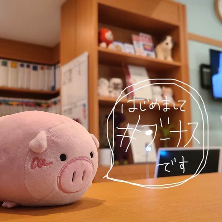 日曜劇場『危険なビーナス』【公式】のインスタグラム：「ついに公式Instagramが始動🐖🐖🐖 . はじめまして💕 公式キャラクターのブーナスです🐷 . これから現場レポートに励みます✨ 撮影現場にちょこちょこお邪魔してキャストの皆さんにも突撃する予定‼️ 本編にもこっそり(?)登場するので私を探してね🐽 . . #日曜劇場 #危険なビーナス #東野圭吾 #ブーナス #ブーナスの現場レポート #妻夫木聡 #吉高由里子 #ディーンフジオカ #染谷将太 #中村アン #堀田真由 #結木滉星 #福田麻貴 #3時のヒロイン #麻生祐未 #坂井真紀 #安蘭けい #田口浩正 #池内万作 #栗田芳宏 #栗原英雄 #斉藤由貴 #戸田恵子 #小日向文世」