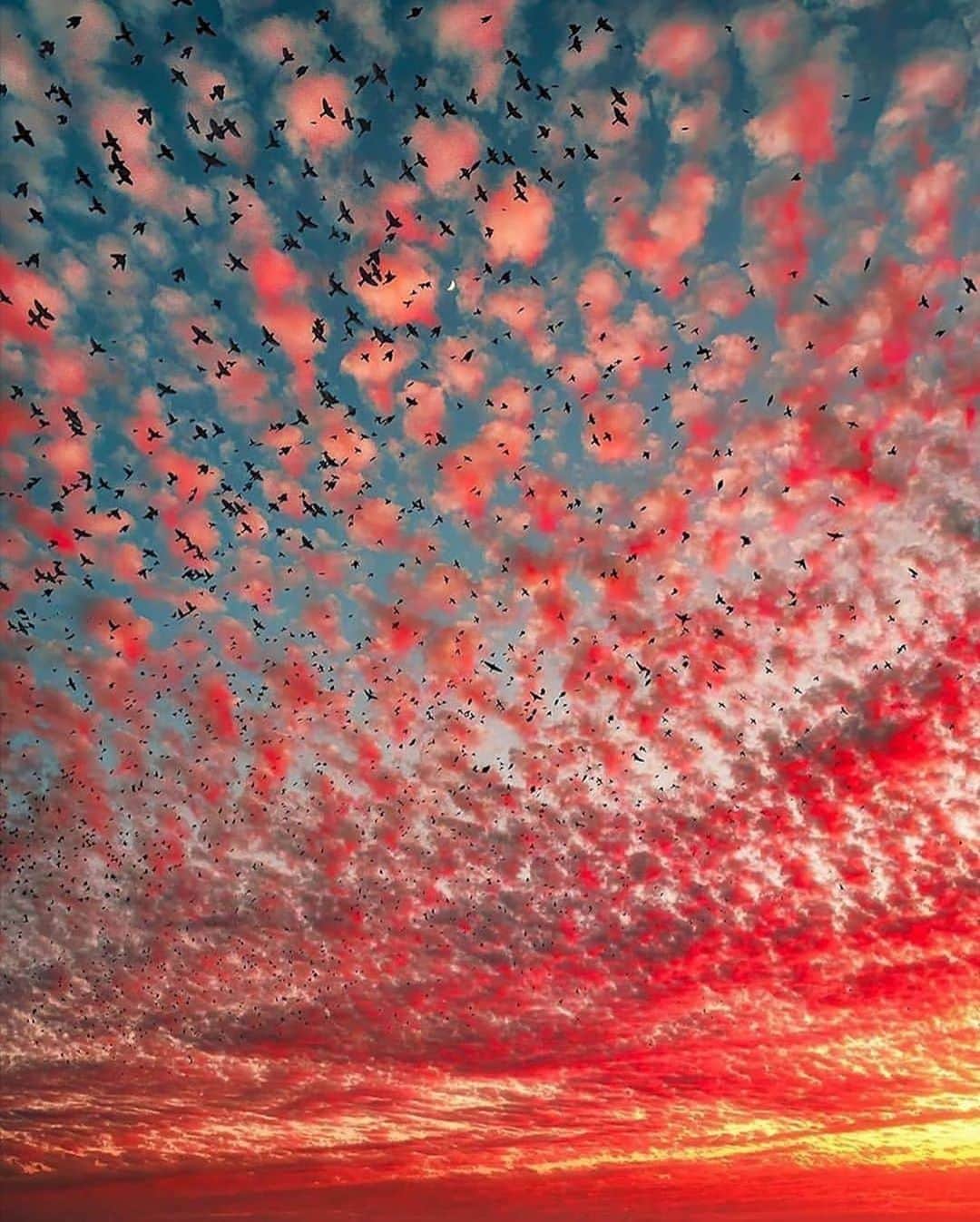 Canon Photographyさんのインスタグラム写真 - (Canon PhotographyInstagram)「Cotton Candy Clouds ☁️  Photography // @my_soulwax Curated by @steffeneisenacher  #clouds #cloudscape #cloudsofinstagram #sunsetphotography #sunset_madness」9月26日 19時39分 - cpcollectives