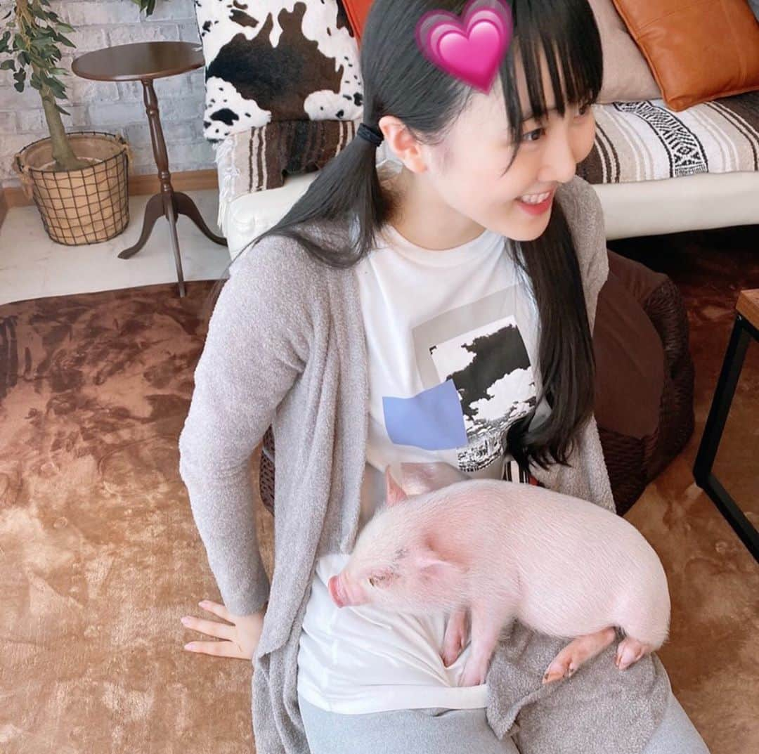 本田望結さんのインスタグラム写真 - (本田望結Instagram)「🐷💗🐷」9月26日 19時45分 - miyu_honda_official