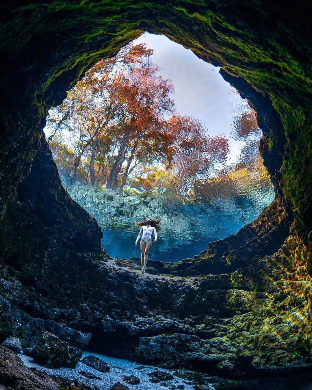 Discover Earthさんのインスタグラム写真 - (Discover EarthInstagram)「Perched on the south side of the Santa Fe River, Ginnie Springs shines for its clear blue water that draws in scuba divers and snorkelers to explore its limestone bottom and caves. Visitors will spot turtles, wading birds and other wildlife near the area, while the bubbling string of springs along the river is perfect for tubing and kayaking. 🇺🇸 #discoverflorida with @andremusgrove  Model: @sabinebanet  #florida #swimming #ginniesprings」9月26日 20時00分 - discoverearth