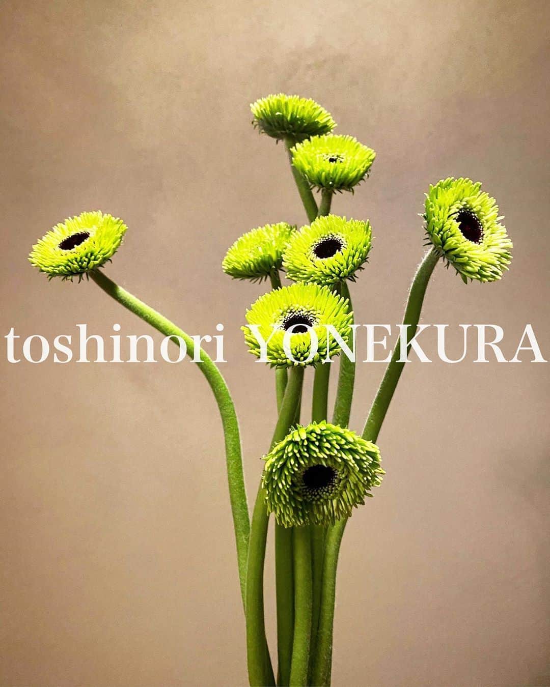 のインスタグラム：「flowers of this week #男花 #花のある生活」