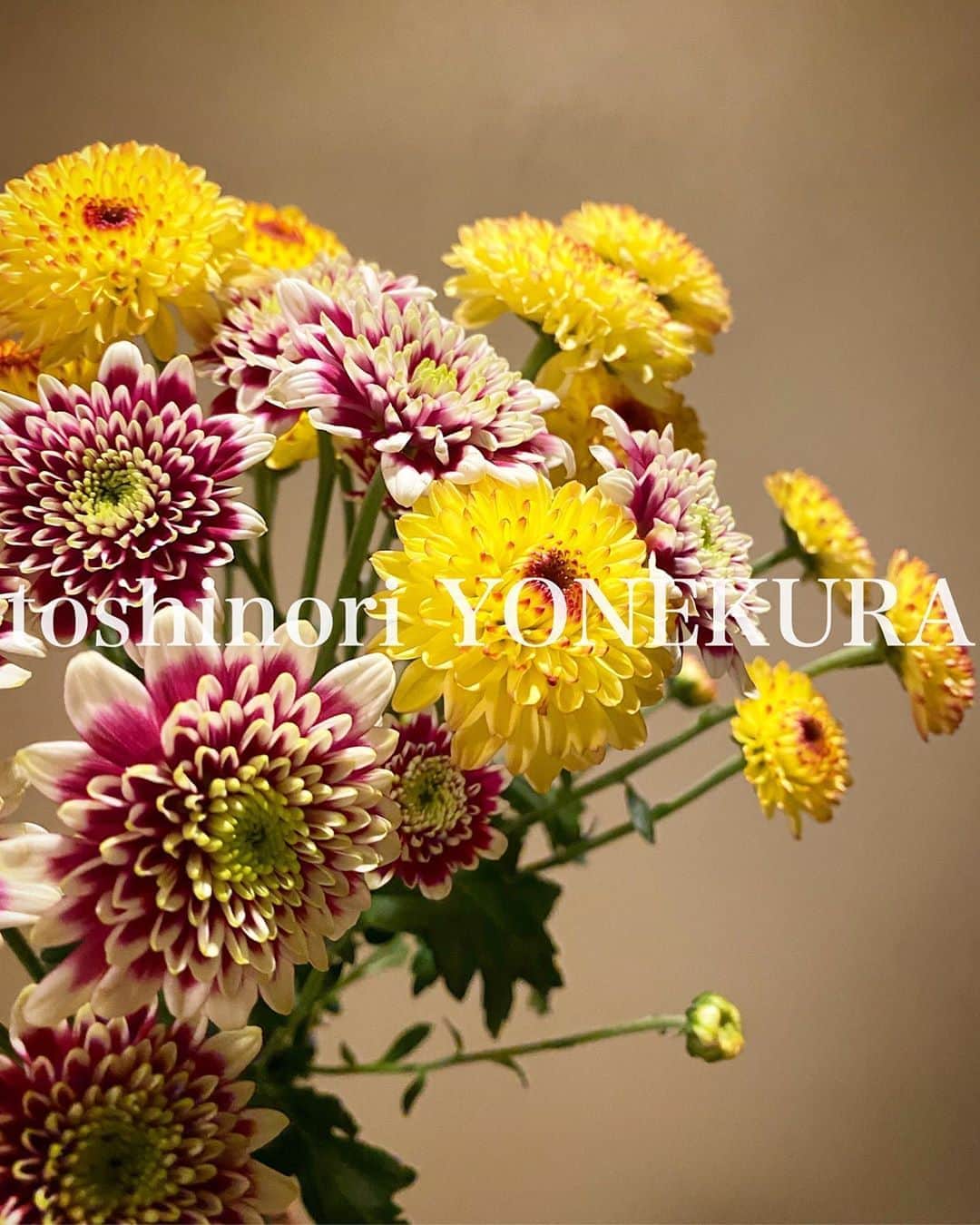 のインスタグラム：「flowers of this week #男花 #花のある生活」