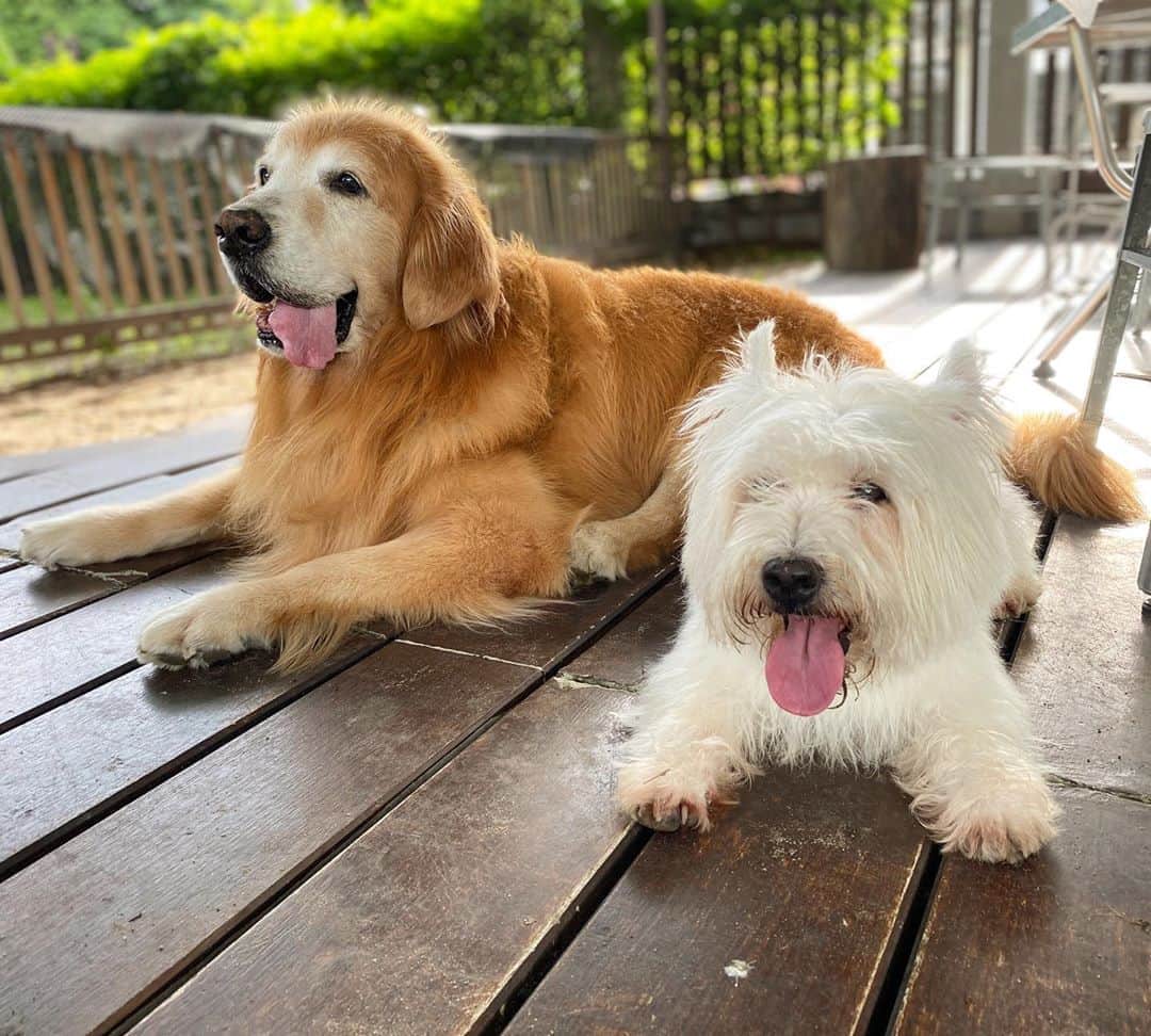 Hoykong&Plamuekのインスタグラム：「We are happy #hkpm」