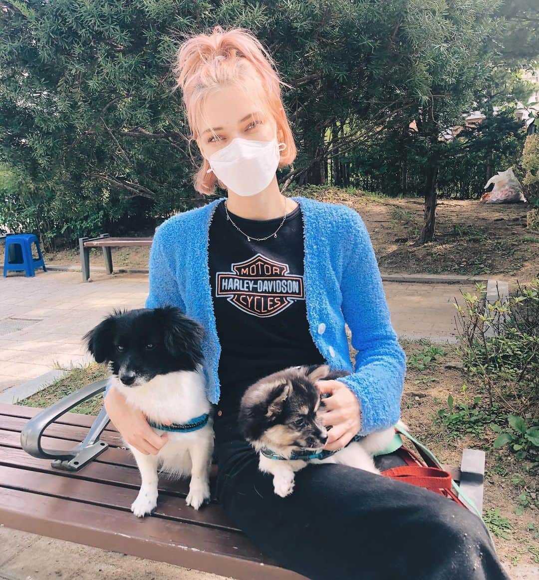 ステファニー・ミチョヴァのインスタグラム：「지금 쪼꼬미를 임시 보호하고 있어요🐶 🥰 We got a new friend spending time with us ❤️ Fostering this little cutie pie! @youumbba」