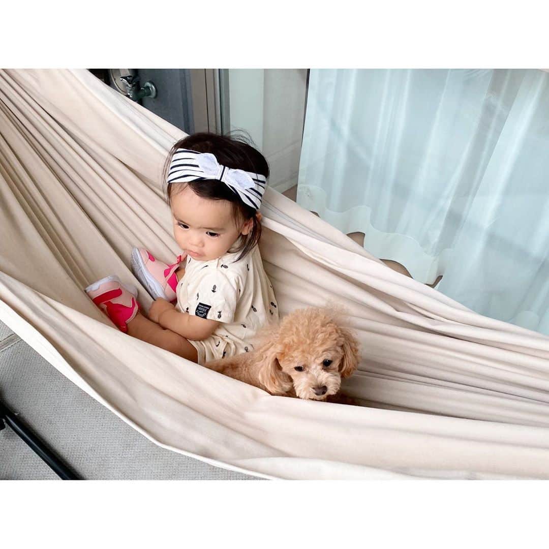 姫野れみのインスタグラム：「ベランダにあるハンモックで 一緒にゆらゆら〜♪ たまらなく癒されました☺️  #baby #girl #babygirl #1st #14months #dog #tiny  #tinypoodle #poodle #toypoodle #dogstagram  #mydog #instadog #lovemydog #lovedog #1歳 #14ヶ月 #赤ちゃん #ベビー #女の子ベビー #女の子 #赤ちゃんのいる生活 #べびすたぐらむ #愛犬 #ヴィヴィ #タイニープードル #タイニー #トイプードル #トイプー」