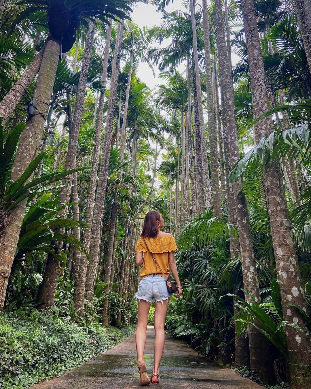 澤井玲未のインスタグラム：「🌴秋るの早すぎて萎える🥱🍃 #parmtree#🌴」