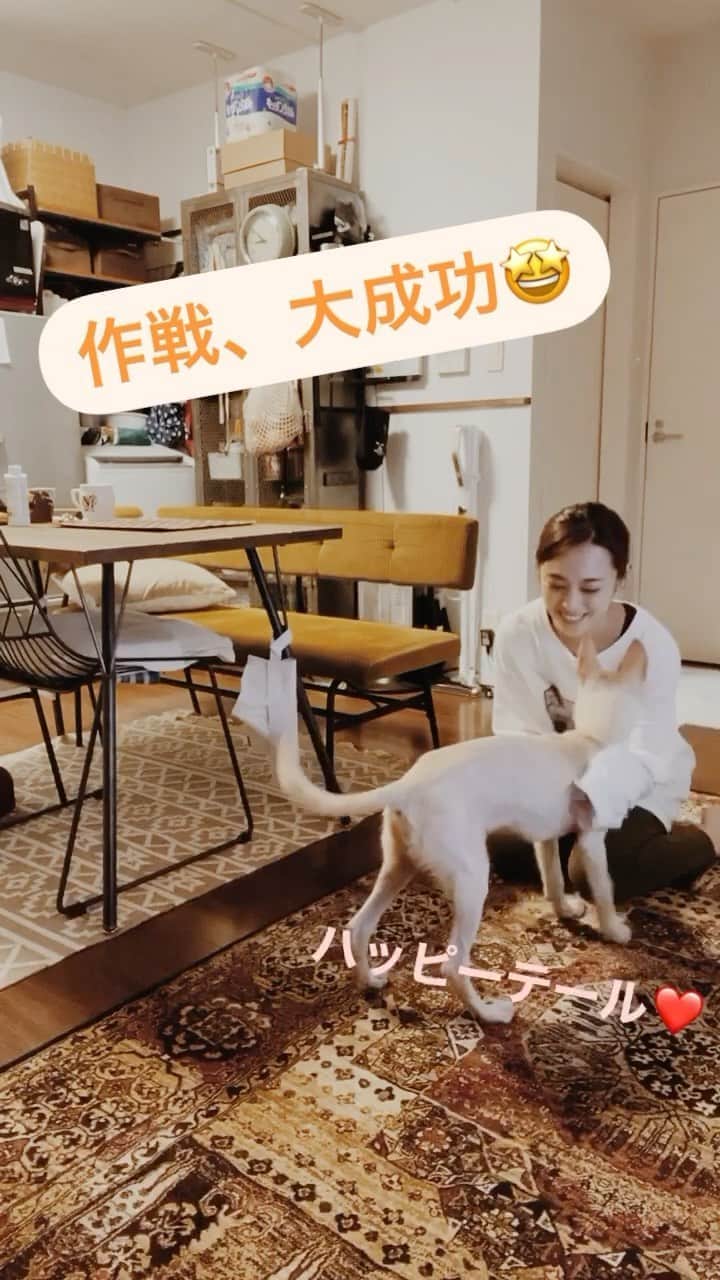 滝裕可里のインスタグラム