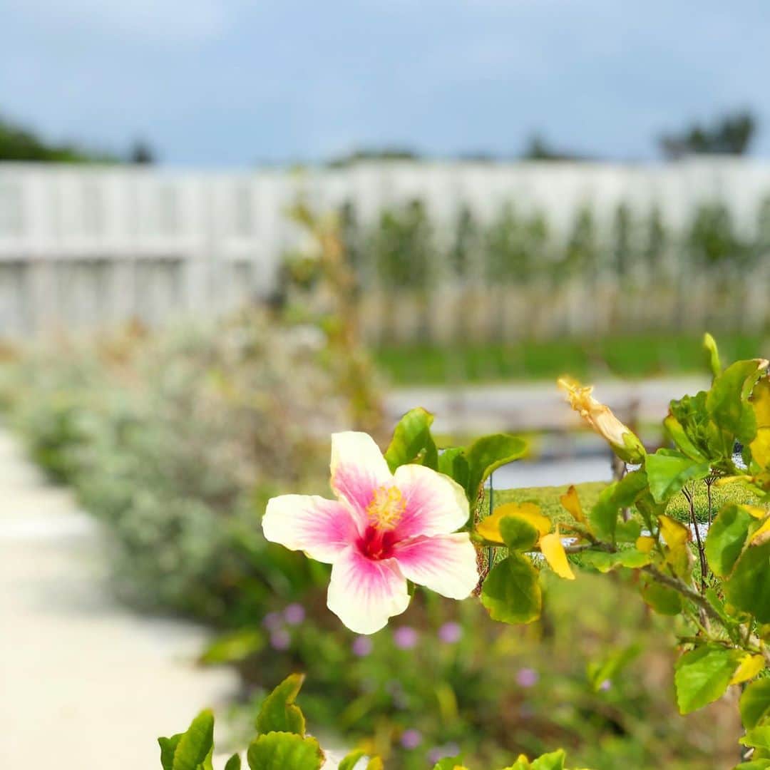 藤川沙弥のインスタグラム：「🌴🌺☀️」