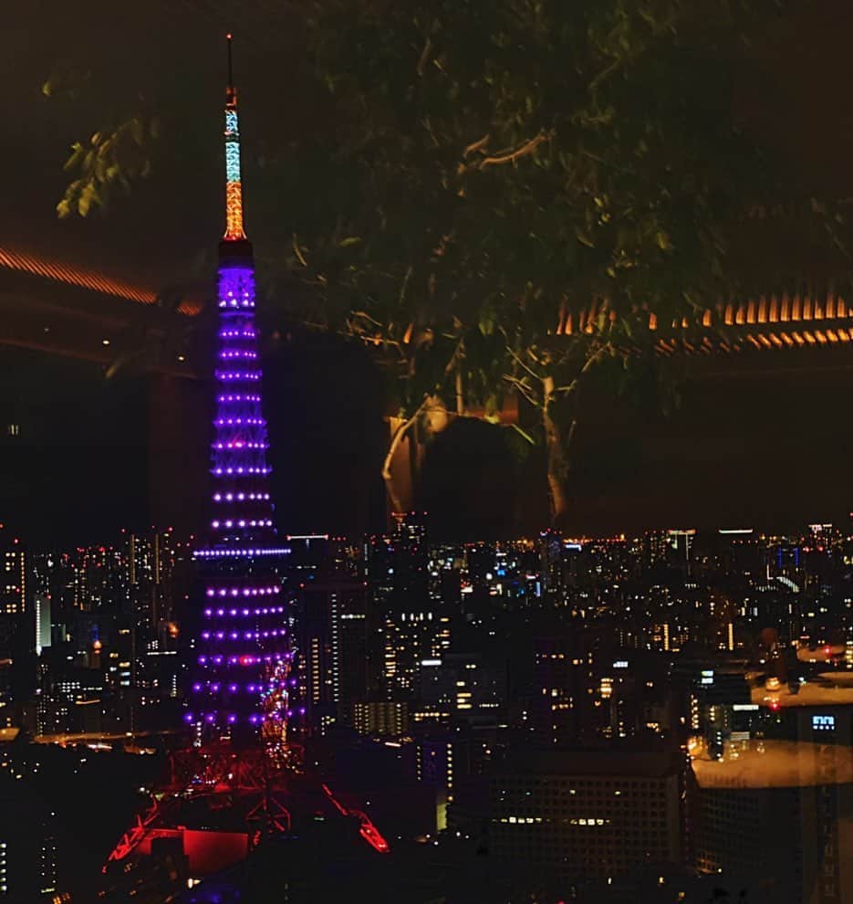 えれなさんのインスタグラム写真 - (えれなInstagram)「先日久しぶりに東京タワーを見た🗼✨  やっぱり綺麗だな〜🥰  #tokyotower   #東京タワー  #インフィニティダイヤモンドヴェール」9月26日 22時24分 - elena1982312