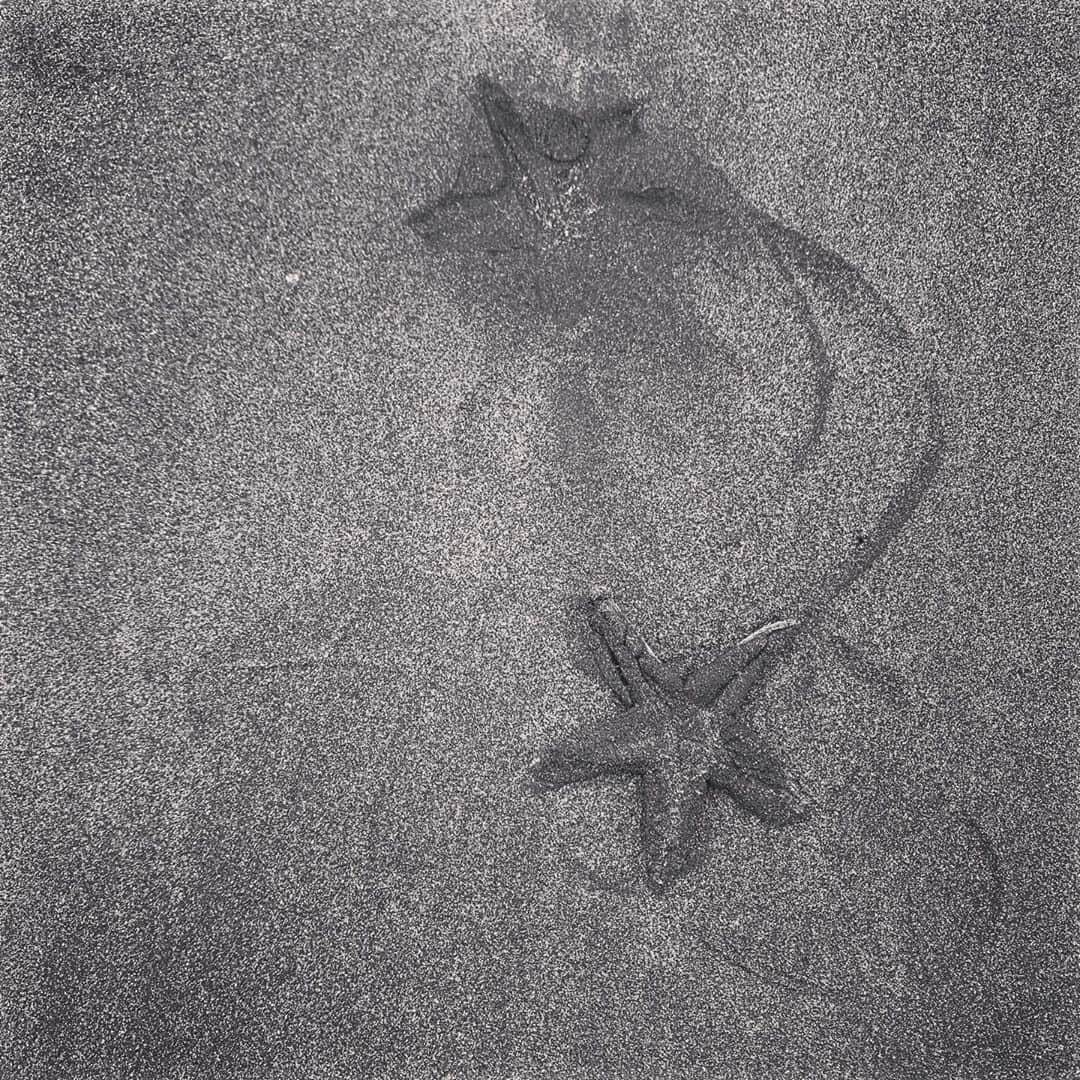 齊藤美絵さんのインスタグラム写真 - (齊藤美絵Instagram)「砂の上の流れ星💫  ゆっくり動くから、 願いがたくさん叶った✨✨✨  #流れ星　#starfish #ヒトデ #shootingstaronthebeach #葉山　#beach #hayama #ツタエルヒト。」9月26日 22時34分 - saitomie