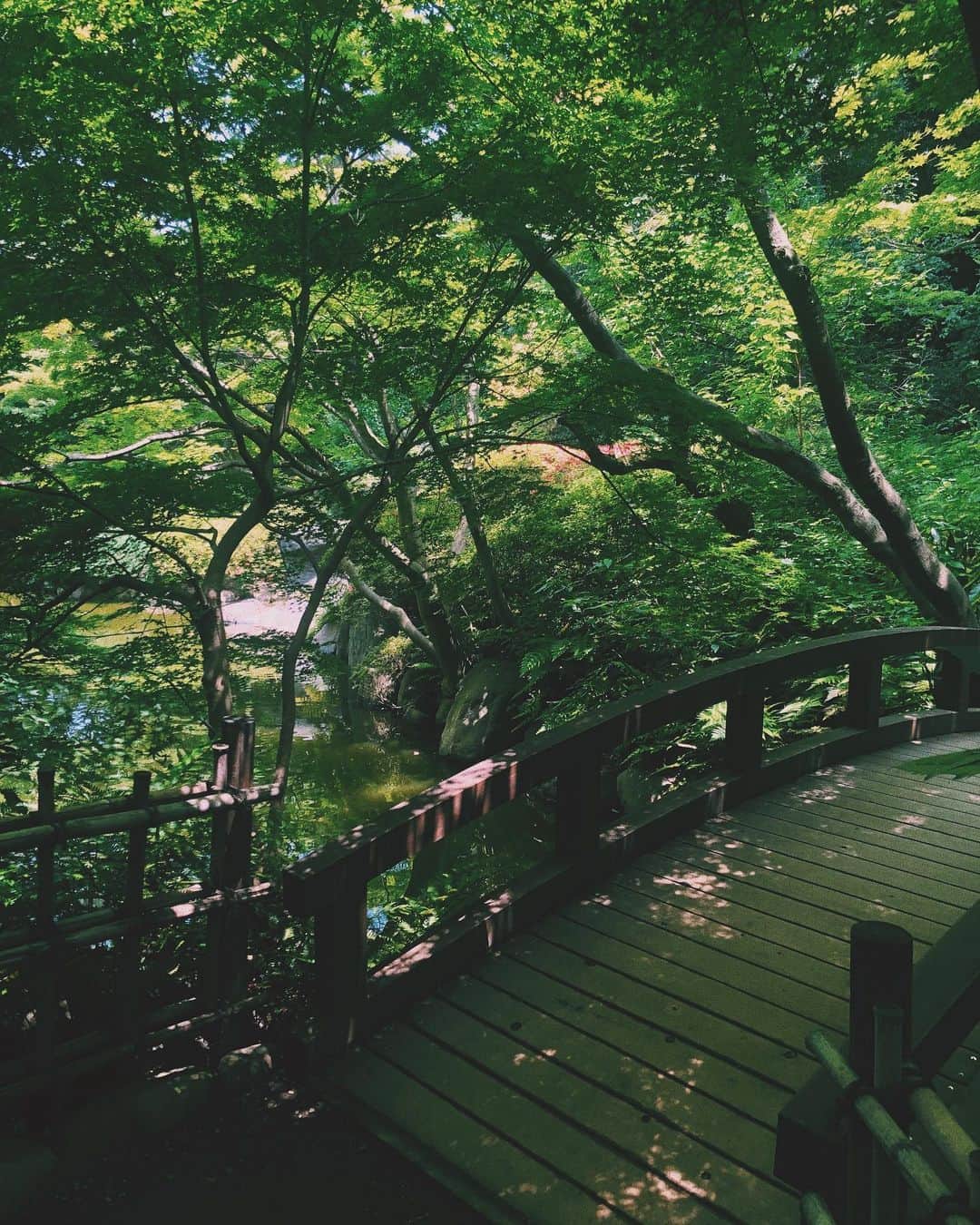 竹内アンナさんのインスタグラム写真 - (竹内アンナInstagram)「ㅤㅤㅤㅤㅤㅤㅤㅤㅤㅤㅤㅤㅤ ---------------------------------------------- ㅤㅤㅤㅤㅤㅤㅤㅤㅤㅤㅤㅤㅤ ㅤㅤㅤㅤㅤㅤㅤㅤㅤㅤㅤㅤㅤ ちょびっと前、新緑がキレイだった夏頃に 大好きな庭園美術館へ。 ㅤㅤㅤㅤㅤㅤㅤㅤㅤㅤㅤㅤㅤ ㅤㅤㅤㅤㅤㅤㅤㅤㅤㅤㅤㅤㅤ 年パス買っちゃった。 ㅤㅤㅤㅤㅤㅤㅤㅤㅤㅤㅤㅤㅤ ㅤㅤㅤㅤㅤㅤㅤㅤㅤㅤㅤㅤㅤ ㅤㅤㅤㅤㅤㅤㅤㅤㅤㅤㅤㅤㅤ #庭園美術館 #東京モダン生活 #あげ損ねpics  ㅤㅤㅤㅤㅤㅤㅤㅤㅤㅤㅤㅤㅤ ㅤㅤㅤㅤㅤㅤㅤㅤㅤㅤㅤㅤㅤ ---------------------------------------------」9月26日 22時48分 - annasingguitar