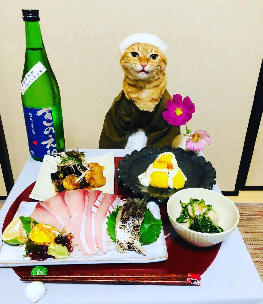 マロさんのインスタグラム写真 - (マロInstagram)「🔸今日の献立〜Today's menu🔸 .ブリのお刺身、炙りしめ鯖 (Yellowtail sashimi、Seared marinade Mackerel) .鶏なす中華南蛮🍆 (Chinese vinegar sauce of chicken and eggplant) .里いもとほうれん草のごま和え (Taro and spinach with sesame sauce) .柿のマスカルポーネ白和え (Persimmon dress with mascarpone and  tofu) ✴︎ いつもコメントありがとうございます😺🙏💕 返信出来なくてすみません🙇‍♀️ 全て拝見しています🐾 ✴︎ Thank you for your comments😸🙏💕 I'm sorry that I couldn't reply. ✴︎ #cat#cats#catsofinstagram#😻 #foodstagram#sake#sashimi  #chef#ねこすたぐらむ#ねこ#猫 #ねこ部#食欲の秋#和食#日本酒 #料理#グルメ#猫のいる暮らし  #斉藤和義#カーリングシトーンズ」9月26日 23時00分 - rinne172