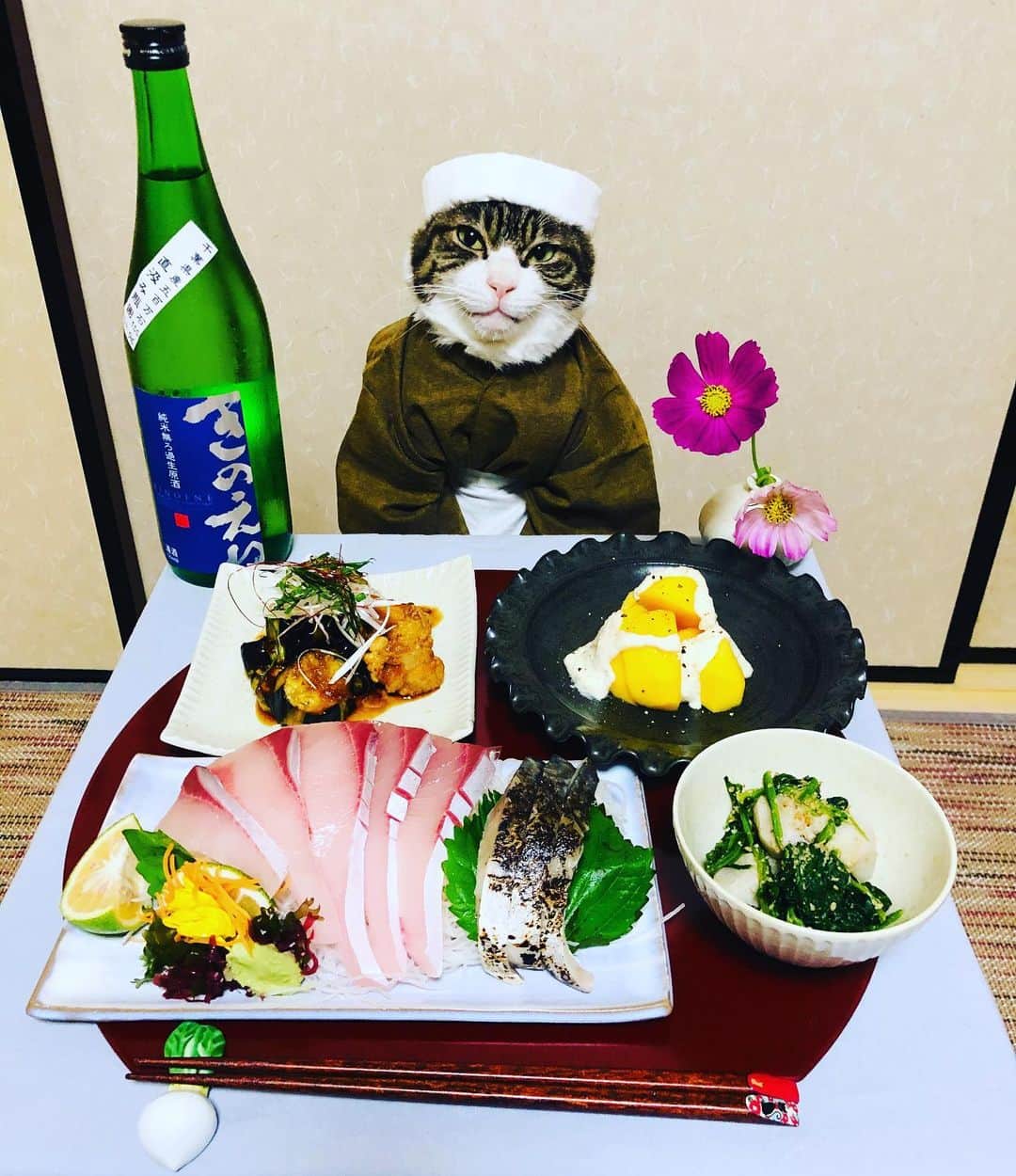 マロのインスタグラム：「🔸今日の献立〜Today's menu🔸 .ブリのお刺身、炙りしめ鯖 (Yellowtail sashimi、Seared marinade Mackerel) .鶏なす中華南蛮🍆 (Chinese vinegar sauce of chicken and eggplant) .里いもとほうれん草のごま和え (Taro and spinach with sesame sauce) .柿のマスカルポーネ白和え (Persimmon dress with mascarpone and  tofu) ✴︎ いつもコメントありがとうございます😺🙏💕 返信出来なくてすみません🙇‍♀️ 全て拝見しています🐾 ✴︎ Thank you for your comments😸🙏💕 I'm sorry that I couldn't reply. ✴︎ #cat#cats#catsofinstagram#😻 #foodstagram#sake#sashimi  #chef#ねこすたぐらむ#ねこ#猫 #ねこ部#食欲の秋#和食#日本酒 #料理#グルメ#猫のいる暮らし  #斉藤和義#カーリングシトーンズ」