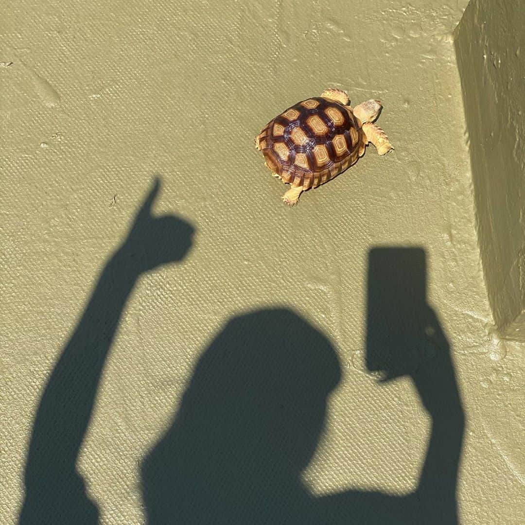 のインスタグラム：「Behind you」