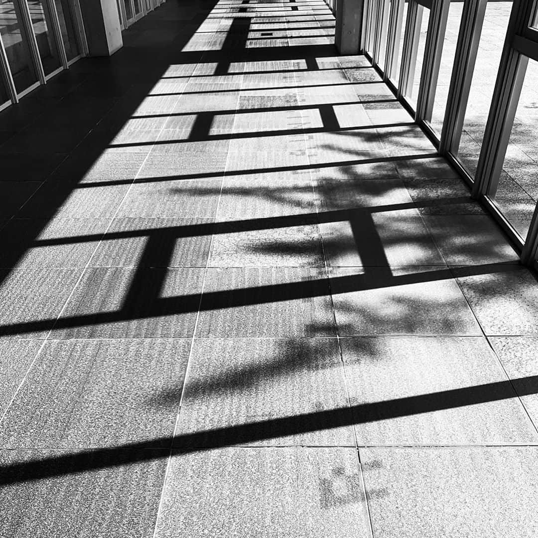 naotakeのインスタグラム：「廊下 - A corridor / iPhone XR & Snapseed, 20200927 . . 1週間遅れの墓参りは藪蚊との壮絶な戦い。 . . #spicollective #royalsnappingartists #infamous_family #rsa_main #infinity_photo_cult #2_fineart #jp_gallery_member #jp_gallery_bnw #trb_bnw #wp_bnw  #bnw_life #bnwlife_member #bnw_life_shots #bnw_captures #world_bnw #top_bnw #team_jp_ #team_jp_モノクロ #ig_energy_bw #ig_nihon #streetphotographybnw #igersjp #blackandwhite #bnw #bnwphoto #monochrome #bw #bnwphotography #ShotOniPhone #shotoniphoneXR」