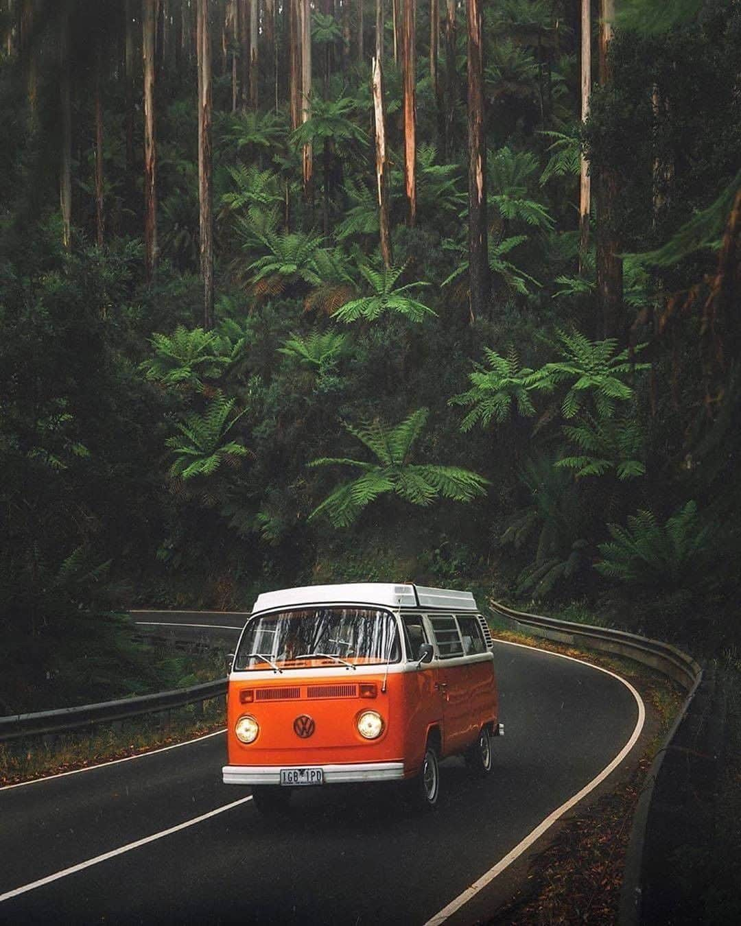 Discover Earthさんのインスタグラム写真 - (Discover EarthInstagram)「Who would like to go away in a van? "•🚌✨🌴• Hidden Highway •  I can’t count how many times I’ve driven down the length of the Maroondah Highway only to get to the end, turn around again and drive all the way back to the top. Bonus tip, I’d suggest doing this dreamy drive early in the morning when the fog still clings to the top of the trees and the roads are completely empty. Makes it all the more magical. @hireakombi  Stay Adventurous Dear Friends " 🇦🇺 #discoverAustralia with @karl_shakur  #vanlife #australia #green」9月27日 0時01分 - discoverearth