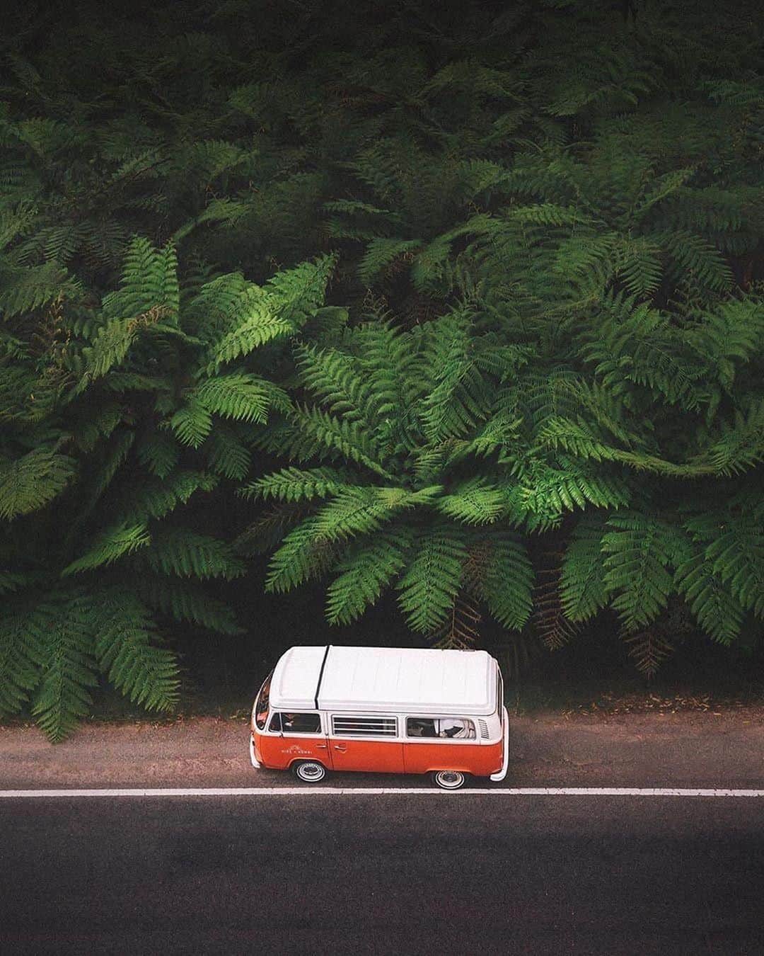Discover Earthさんのインスタグラム写真 - (Discover EarthInstagram)「Who would like to go away in a van? "•🚌✨🌴• Hidden Highway •  I can’t count how many times I’ve driven down the length of the Maroondah Highway only to get to the end, turn around again and drive all the way back to the top. Bonus tip, I’d suggest doing this dreamy drive early in the morning when the fog still clings to the top of the trees and the roads are completely empty. Makes it all the more magical. @hireakombi  Stay Adventurous Dear Friends " 🇦🇺 #discoverAustralia with @karl_shakur  #vanlife #australia #green」9月27日 0時01分 - discoverearth