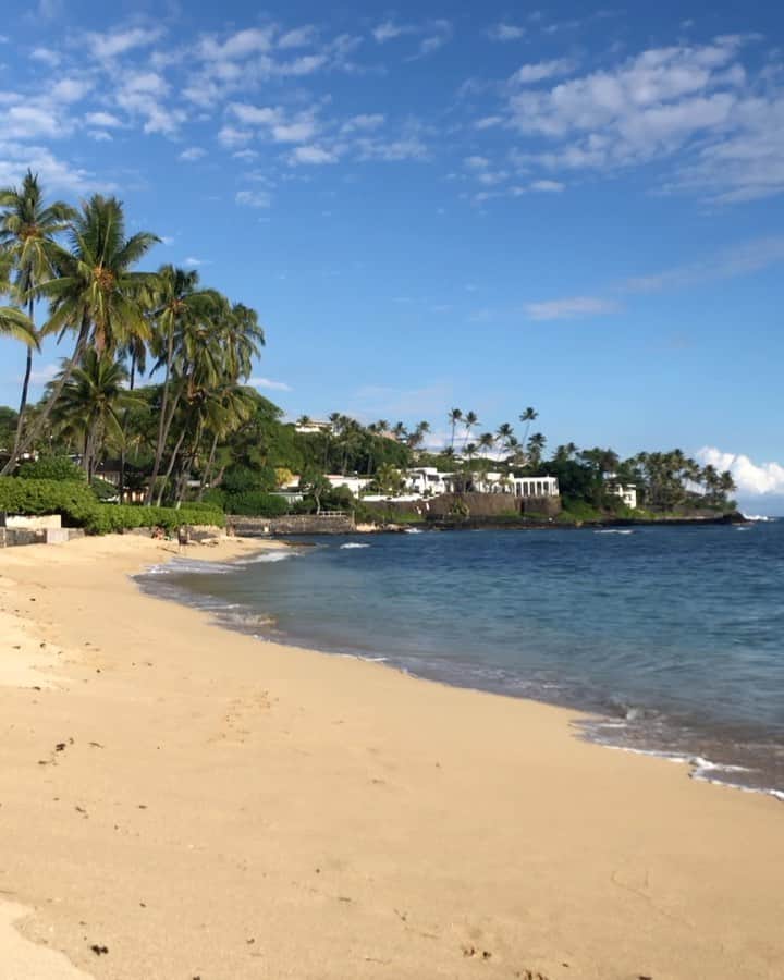 Riho Morishitaのインスタグラム：「2:24pm - Hawaiian monk seal seemed to be swimming comfortably 😻」