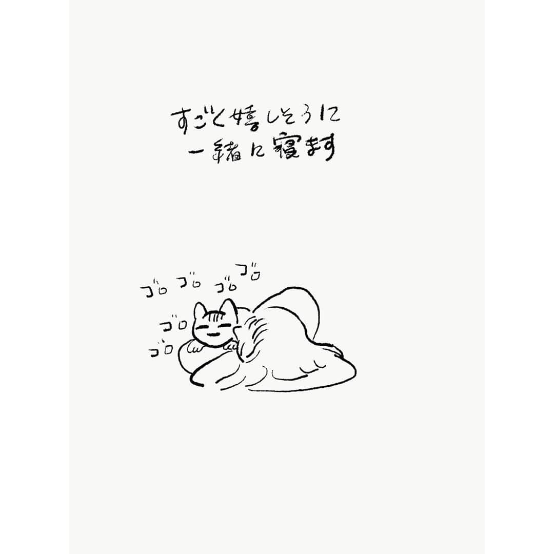 eriさんのインスタグラム写真 - (eriInstagram)「久しぶりの　#紋久育児日記 猫を抱いていると、あったかくて心臓が動いて呼吸してる振動が伝わる。生きてる、ってすごい。おまけに生きてるうえに個々に性格のオリジナリティをもってうまれてくるなんて…すごすぎる…って人間もおんなじなのに、何故か猫のほうがそれを感じやすいんだよな。」9月27日 0時37分 - e_r_i_e_r_i