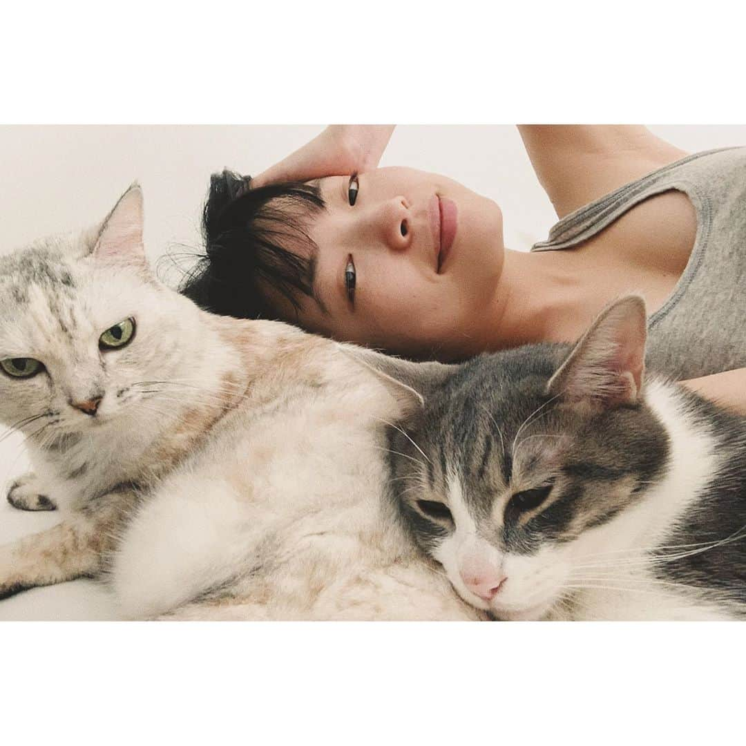 eriさんのインスタグラム写真 - (eriInstagram)「久しぶりの　#紋久育児日記 猫を抱いていると、あったかくて心臓が動いて呼吸してる振動が伝わる。生きてる、ってすごい。おまけに生きてるうえに個々に性格のオリジナリティをもってうまれてくるなんて…すごすぎる…って人間もおんなじなのに、何故か猫のほうがそれを感じやすいんだよな。」9月27日 0時37分 - e_r_i_e_r_i