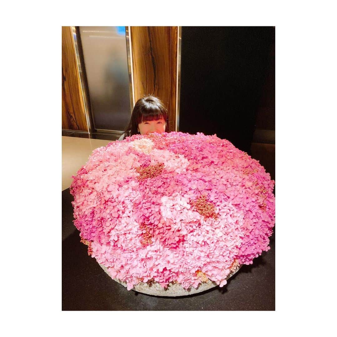 福原愛さんのインスタグラム写真 - (福原愛Instagram)「🌷🌸🌺🌹🌷🌸🌺🌹 🌸🌹明天晚上8⃣️點🌷🌸 🌺台視📺全明星運動會🌺 🌹🌷🌺🌸🌹🌷🌺🌸 ⚽️🏀🏈⚾️🥎🎾🏉 🏐@chiang111222 🥏 🎱🪀🏓🏸🏒🏑🥍 🥅⛳️🪁🏹🛹 🥋大家收看哦🥊 🎽🛷🏊🏻‍♀️🏋🏻‍♀️🤾🏻‍♂️ #江くんの番宣でした👀」9月27日 0時47分 - aifukuhara9113