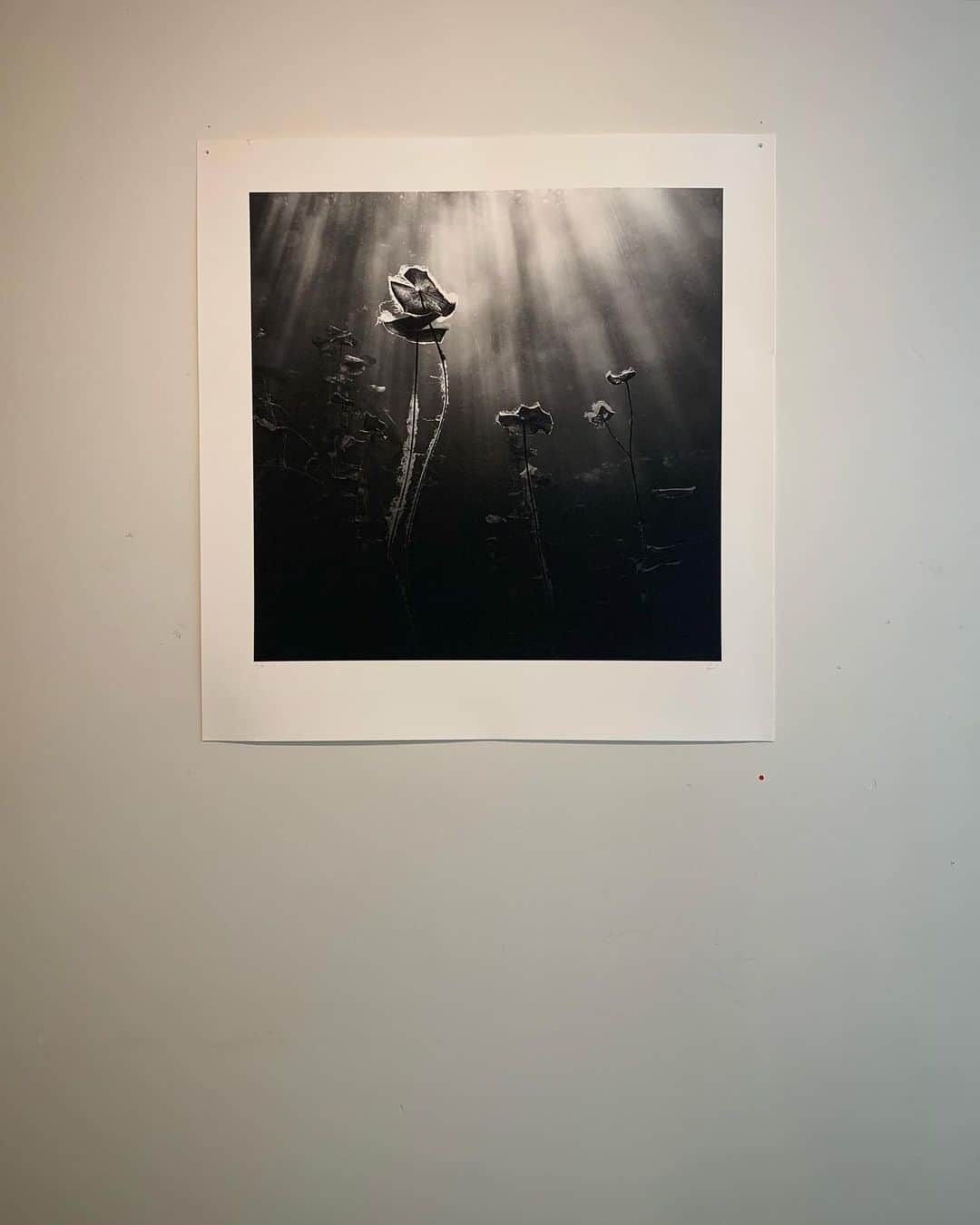 二木あいのグルメインスタ