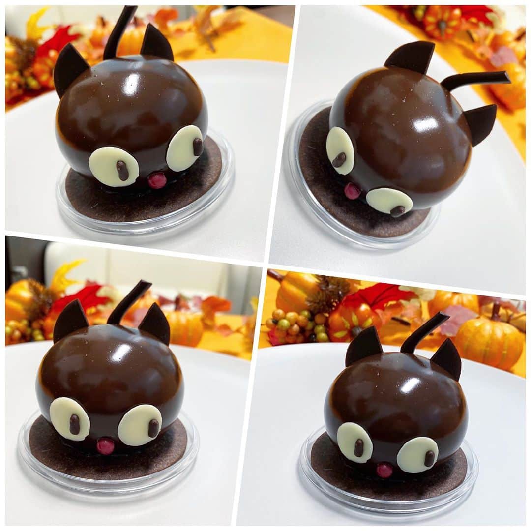 市川歩美のインスタグラム：「コロンバン「黒猫のケーキ」🥰  あーーーーかわいいー😍存在がかわいい❤️しかもおいしかったです😋  フランボワーズ・黒ゴマ・ショコラがマリアージュ。10月31日までのハロウィン限定🎃  #ilovechocolate  #chocolat #chocolatelovers  #chocolate #チョコレート #チョコレート大好き #チョコレート好き #ショコラ #チョコレート好きと繋がりたい #チョコレートケーキ #カカオ #猫#チョコレートケーキ #ハロウィンケーキ #ハロウィンスイーツ #ハロウィンチョコ #コロンバン #黒猫 #黒ごま#かわいい#おうちチョコ」