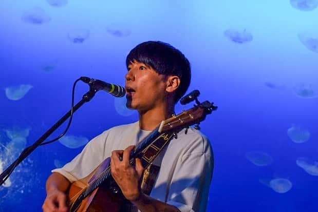SAKANAMONのインスタグラム：「2020.9.26 / 新江ノ島水族館 クラゲファンタジーホール  #SAKANAMON #新江ノ島水族館」