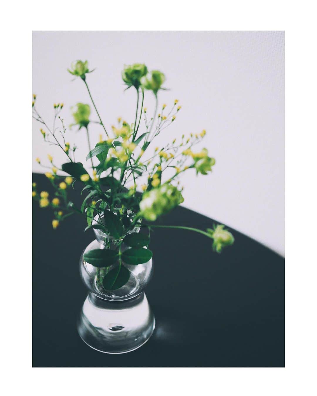花楓さんのインスタグラム写真 - (花楓Instagram)「@sho__yanagida ちゃんから 素敵なプレゼント❤️  お花が喜んどる🌼 偶然にも色違いで持っていた @toumei_fuku の花瓶。  翔ちゃん流石っす🥺🙌🏻 ありがとう❤️  #花瓶はお花のドレスです #花楓には花のような華やかさはない #癒されるどころか騒がしいから #お花のようには... #すんません #少し黙っとこか🥺はい」9月27日 12時12分 - _caede_