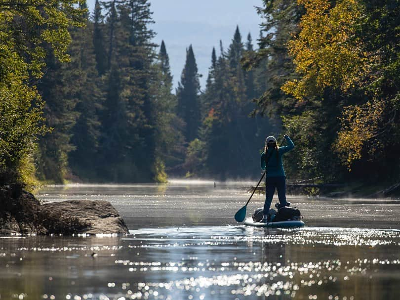 Tim Lamanさんのインスタグラム写真 - (Tim LamanInstagram)「Photos by @TimLaman.  Here are a few more shots from my recent 3-day 40+ mile paddleboarding adventure in Maine with my daughter.  1) Beautiful morning on the Moose River; 2) Paddling into fall; 3) Attean Pond iPhone shot of Jessica when we stopped to watch a bald eagle (can you see the Eagle?); 4) Bald Eagle being magestic. (Not an iPhone shot). #Maine #SUP #SUPexpedition #BaldEagle   Remember folks – for my end of Sep monthly giveaway, I have an 8x10 in signed Red Bird-of-Paradise print.  All you have to do to enter is visit the link in bio and sign up for my newsletter.  All current and new subscribers are entered.  Good luck!」9月27日 6時05分 - timlaman