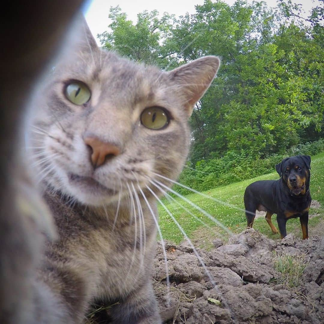 マニーのインスタグラム：「😼🤳」