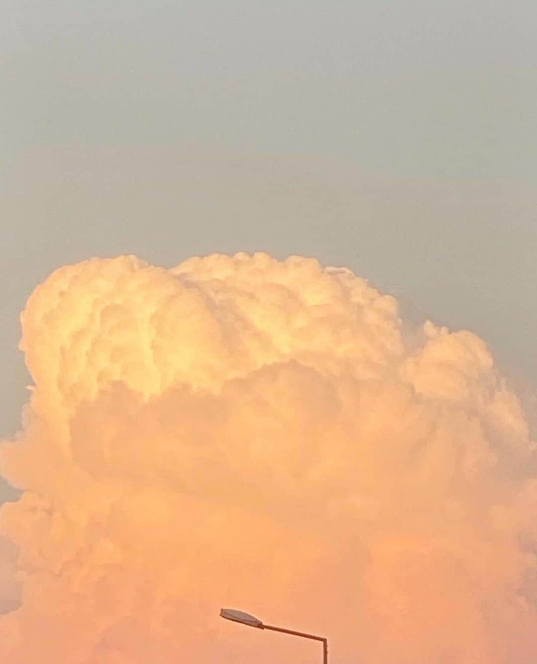 Sachiのインスタグラム：「🌍 #peace」