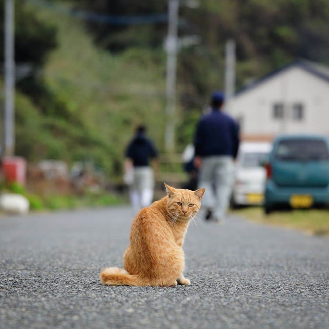 ををつかのインスタグラム