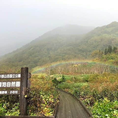 栂池高原スキー場さんのインスタグラム写真 - (栂池高原スキー場Instagram)「今日はミストのような雨が降って、虹が出るチャンス❗ 紅葉も肉眼で見るのが1番きれいです😊 色づきは5、6割かなあ～ 写真は昨日、今日のものです。参考にどうぞ🎵  Kawahara☆  #栂池高原#栂池自然園#アウトドア #登山#tsugaike #気分転換 #ストレス発散 #リフレッシュ  #日本の絶景 #長野の絶景 #雪景色  #大自然 #白馬#白馬村#小谷村 #旅行#自然#空気が美味しい #空気が綺麗」9月27日 9時20分 - tsugaike_kogen