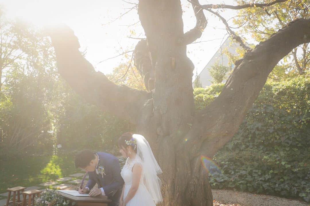 ラクラリエールのグルメインスタ