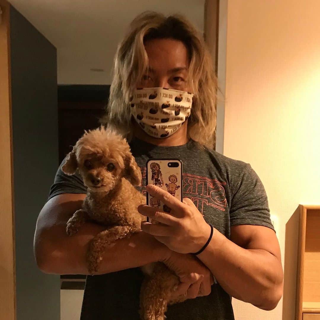 のインスタグラム：「ハナマスク。こ、これは💦 #toypoodle」