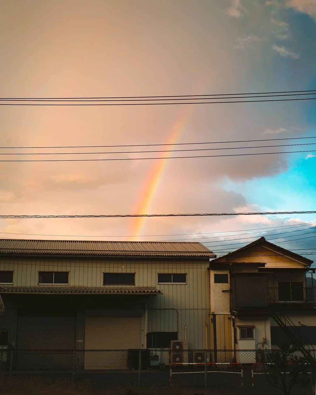 国分真央さんのインスタグラム写真 - (国分真央Instagram)「.﻿ 雨上がりを摘む﻿ ﻿」9月27日 20時23分 - mao_kokubu