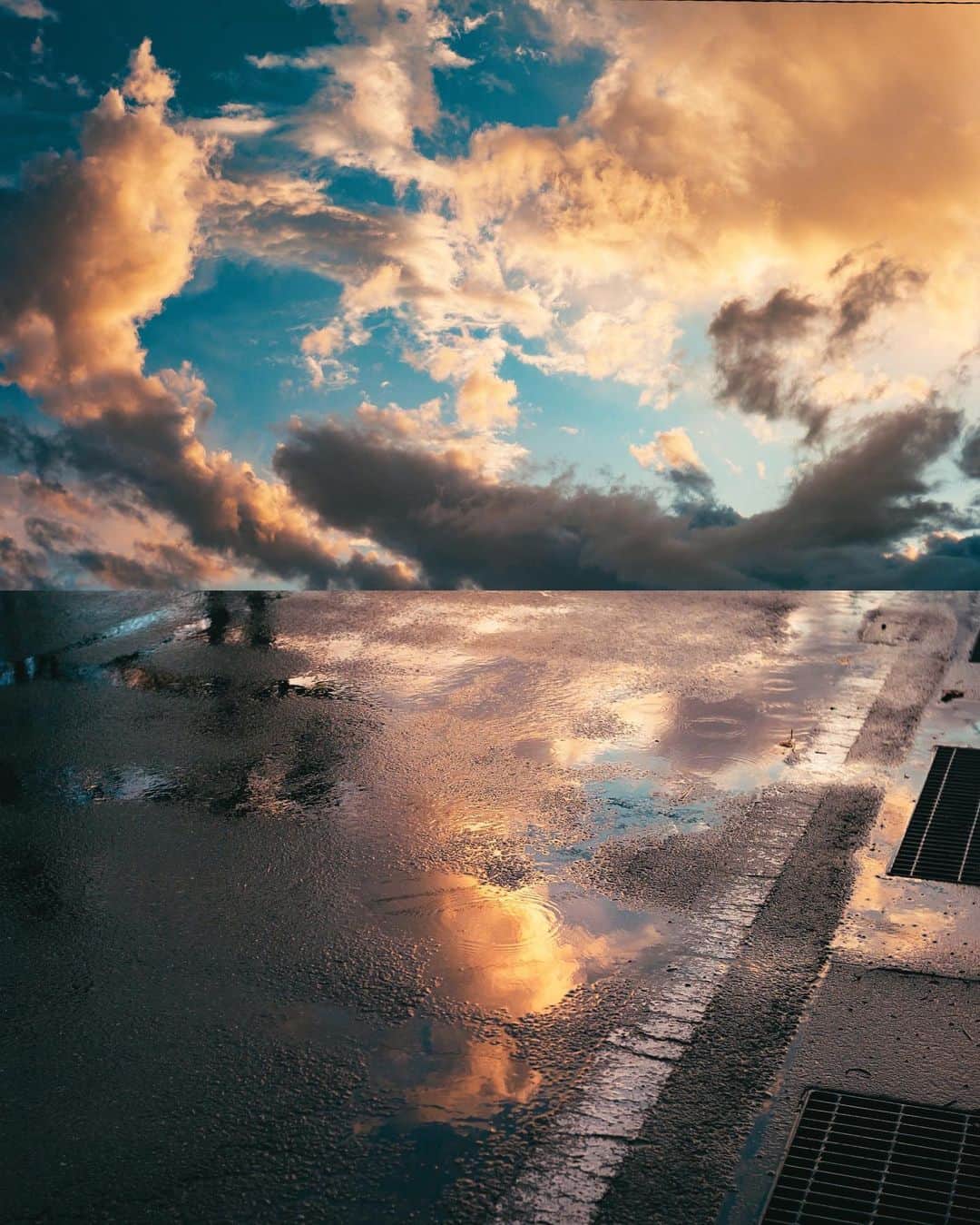 国分真央さんのインスタグラム写真 - (国分真央Instagram)「.﻿ 雨上がりを摘む﻿ ﻿」9月27日 20時23分 - mao_kokubu