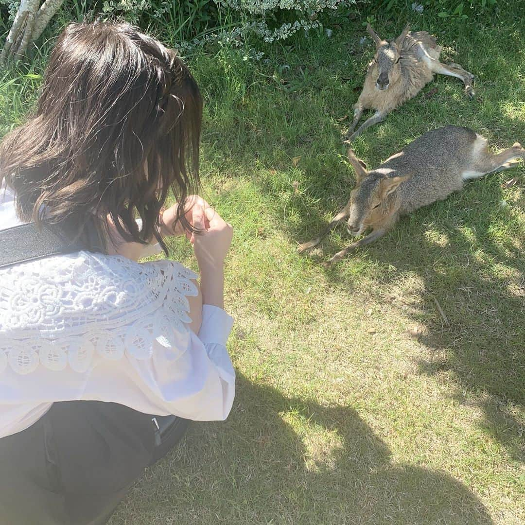 武井紗良さんのインスタグラム写真 - (武井紗良Instagram)「アドベンチャーワールドに行ってきました♡」9月27日 20時47分 - sweets_sweetss