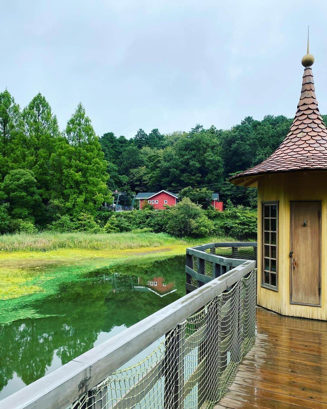 のインスタグラム：「ちょっと行ってきました   #ムーミンバレーパーク  #moominvalleypark  #ムーミン#moomin #速水もこみち#mocomichihayami」