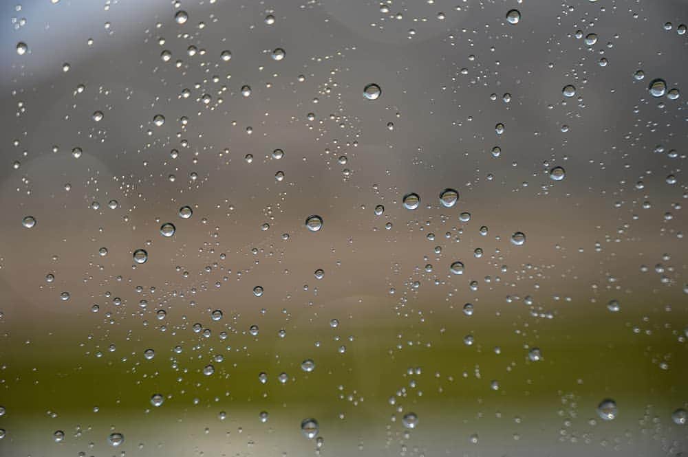 坪田塁のインスタグラム：「雨、雨、風、雨…… - 坪田塁 公式ブログ  プロフィールのリンクから「坪田塁 公式ブログ」をごらんください。」