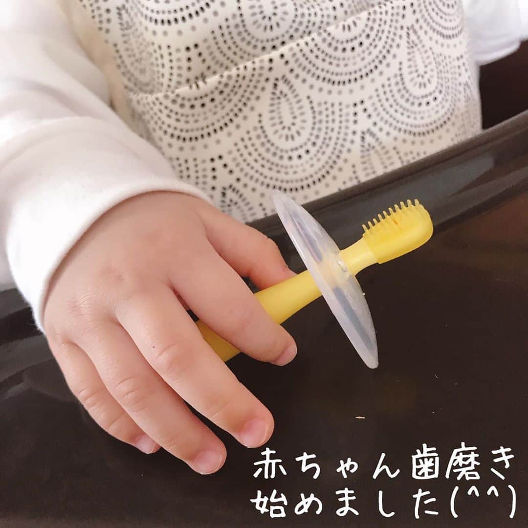 小西さやかのインスタグラム：「歯が2本生えてきたので、赤ちゃんの歯磨き練習始めました(^^) . pigeonさんのLINE登録していたらモニターの案内が定期的にあり、応募してみたところ抽選で当選し、こちらの乳歯ブラシ レッスン段階1をいただきました。 . 歯が生える前の5ヶ月頃からこちらのブラシで「歯ぐきマッサージ」をはじめました！表と裏で異なる噛み心地なので、食後にいつも楽しんでカミカミしてます！ . 歯が2本生えてきてからは、うがいの必要ないフッ化ナトリウム入りの薬用レノビーゴをブラシにふりかけてから使ってます！ . その後に、ママ友のあさちゃんから教えていただいた歯磨きナップを購入して使っています。イチゴ味だから嫌がらずに歯を拭かせてくれます！ . コロナで保育園での歯磨きが禁止となり子供に虫歯が増えているそうです。 親のミュータンス菌が子供にうつらないように食器や洗剤もわけて口にはチューしないように気をつけています(^^) 皆様はどんな歯磨きしてますか？ #9ヶ月ベビー #9ヶ月離乳食 #9ヶ月女の子 #9ヶ月baby #赤ちゃん#赤ちゃんのいる生活 #赤ちゃんのいる暮らし #赤ちゃん用品 #赤ちゃん歯磨き#ピジョン #pigeon #ピジョン歯磨き#ピジョン歯磨きナップ #乳歯#乳歯ケア #乳歯ブラシ #歯磨きデビュー #虫歯予防#9ヶ月baby#レノビーゴ」