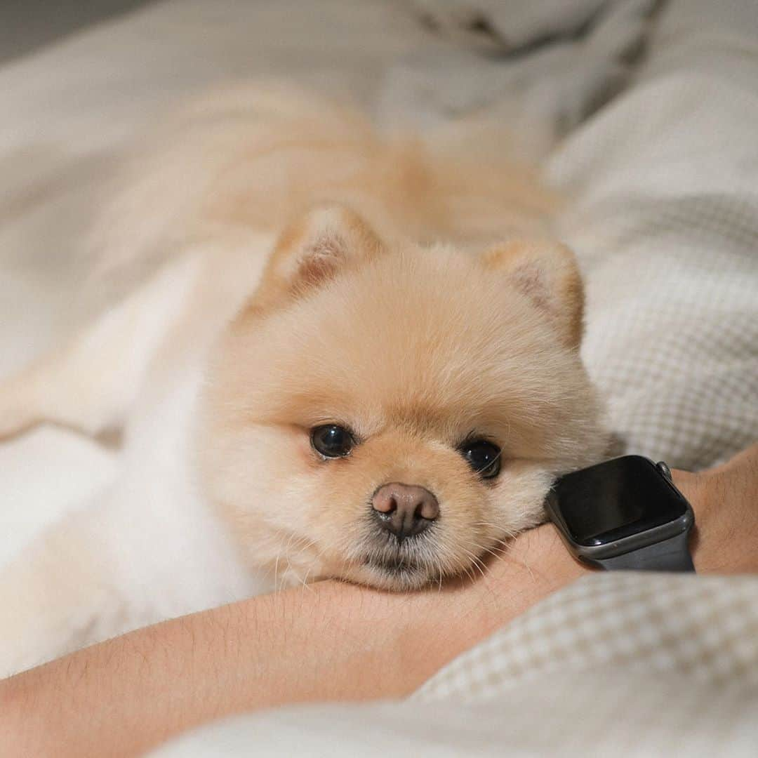 むじさまさんのインスタグラム写真 - (むじさまInstagram)「This is the way to show your love for someone. 🥰 #mujisama」9月27日 21時19分 - mujisama