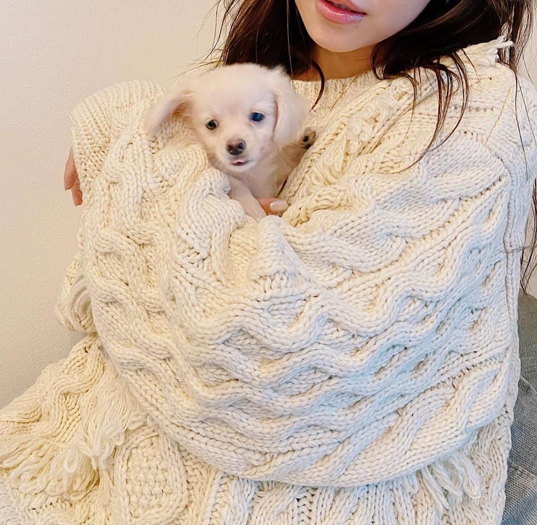 佐々木彩乃のインスタグラム：「寒すぎてニットデビューした！ 今発売中の人気ニット🤍 SOYと同じ色味〜〜」