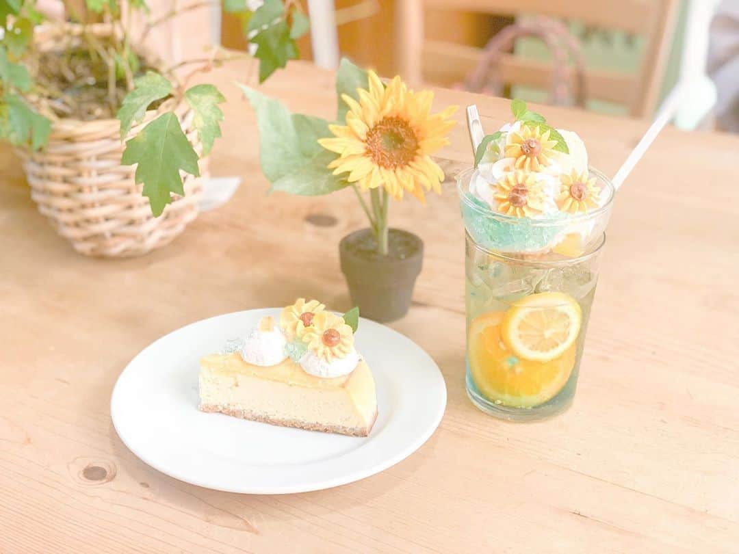 谷口夢奈さんのインスタグラム写真 - (谷口夢奈Instagram)「🌻﻿ ﻿ ﻿ 前に紫陽花ケーキたべたとこ。﻿ ﻿ ひまわりも可愛すぎて﻿ 紫陽花ケーキ一緒に食べた友達と﻿ また行ってきた😊🌼﻿ ﻿ ﻿ まーえにインスタでみた情報だと﻿ ひまわりは9月末まで、、らしい。﻿ ﻿ 夏ももうほんとに終わるなぁ…😶﻿ ﻿ ﻿ ﻿ #sundaybrunch #サンデーブランチ #cafe #sweets #cake #カフェ #カフェ巡り #ケーキ巡り #スイーツ巡り #下北沢カフェ #東京カフェ #🍰﻿ #ひまわりケーキ #🌻」9月27日 12時58分 - yuna_tani