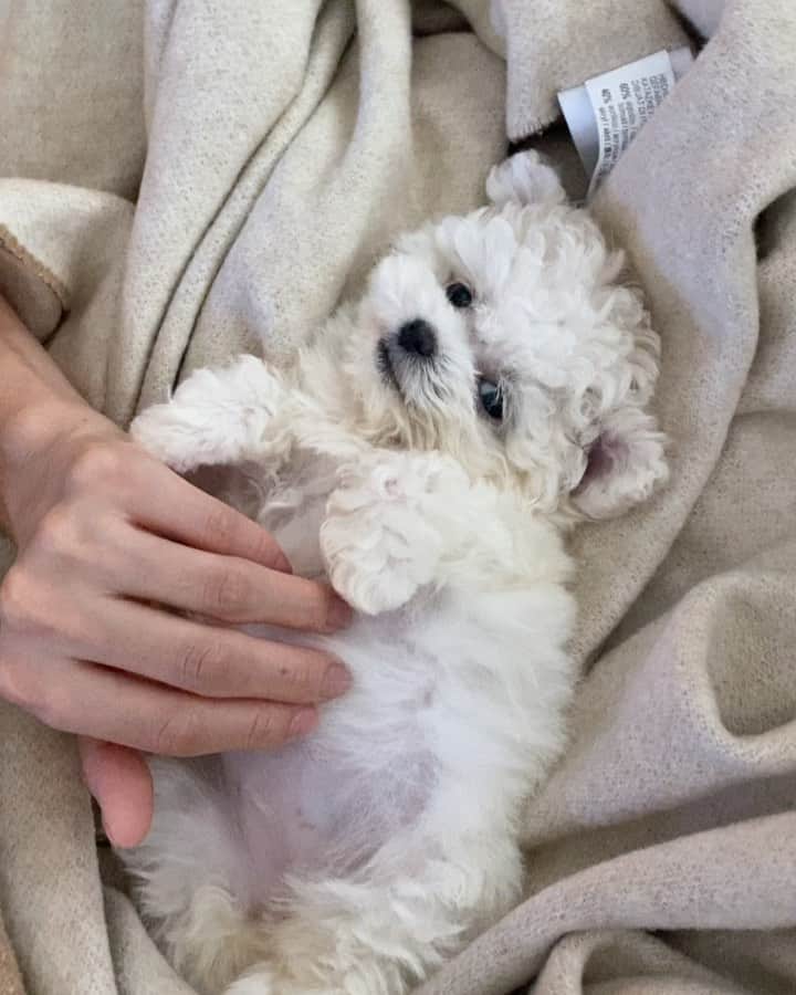 チャン・ヒジンのインスタグラム：「내손길보다 친구손길이 편한 동동이 ㅠ 미안 엄마가 초보라서 😭」