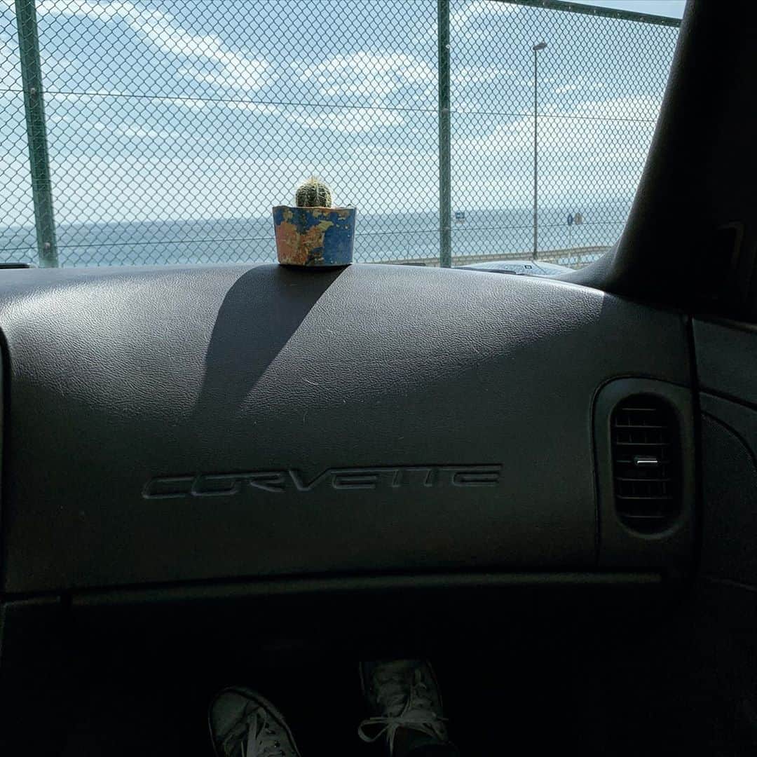 奥山春香さんのインスタグラム写真 - (奥山春香Instagram)「サボテンお迎えした🌵🌞🌵 @goodtownfarm #corvette#vette#chevorlet#swapmeet#べち子 #コルベット」9月27日 13時53分 - corvetteharuka