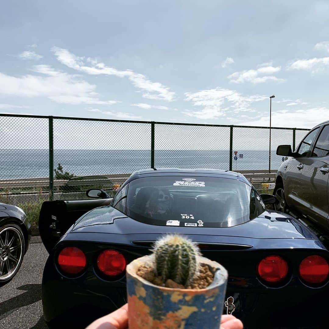 奥山春香さんのインスタグラム写真 - (奥山春香Instagram)「べち子とサボ🐫🐫 #べち子#コルベット#corvette#vette#swapmeet」9月27日 14時06分 - corvetteharuka